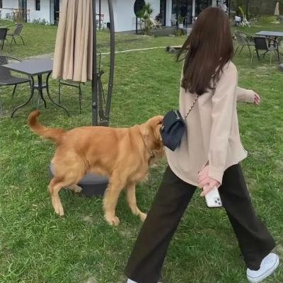 僵尸追女仔
